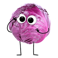 Frecher Freund Roland Rotkohl