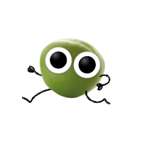 Erbse