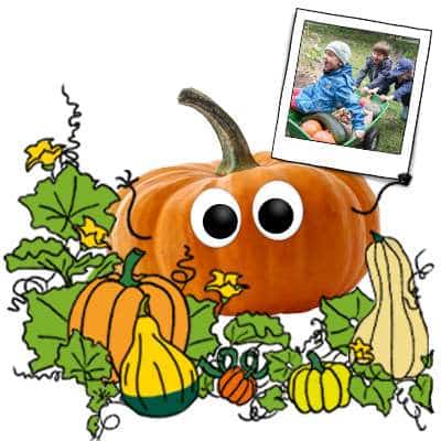 Freche Freunde - Ernährung - essbare Kürbisse - Preview