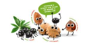 Freche Freunde - Blogbeitrag Welche Vitamine sind wichtig für Kinder - Olli Olive sagt, dass Vitamin E vor allem in Nüssen und Samen vorkommt